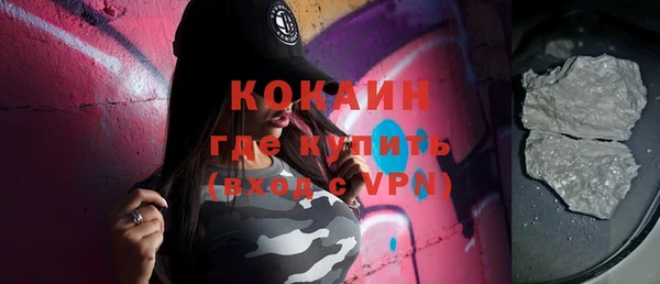 шишки Верея