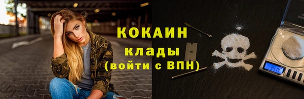 шишки Верея