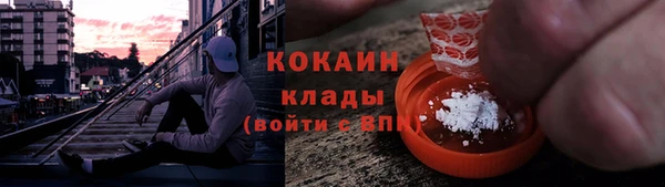 крисы Верхний Тагил