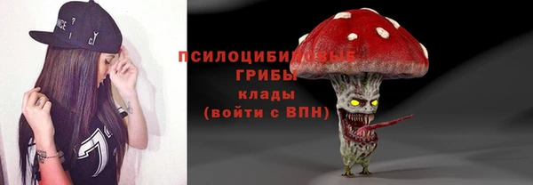 шишки Верея