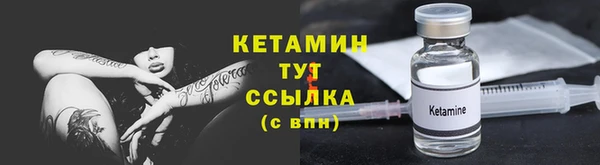 шишки Верея