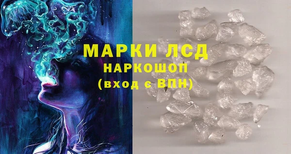 шишки Верея