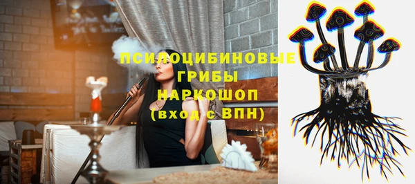 крисы Верхний Тагил