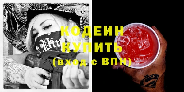 шишки Верея