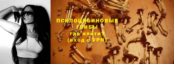 шишки Верея