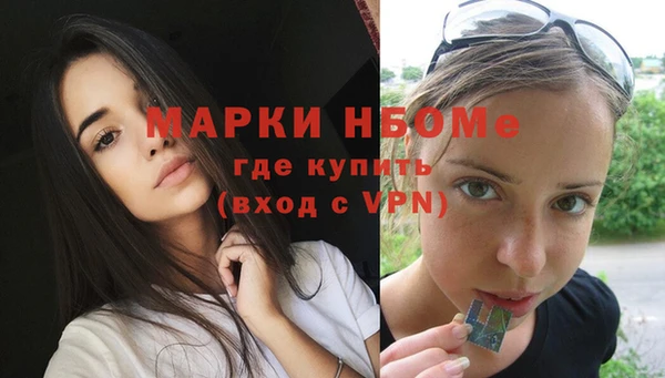 крисы Верхний Тагил