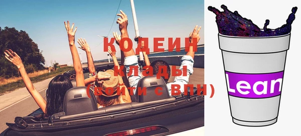 шишки Верея